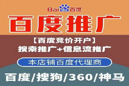 搜索引擎营销（SEM）成功运营的五大案例